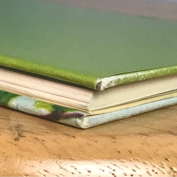 Flower Fairies of the Spring by Cicely Mary Barker - Picture 10 of 10